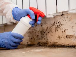  Lucerne, CA Mold Inspection Pros